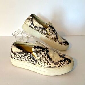 STEVE MADDEN snake print slip in sneaker shoe size 7